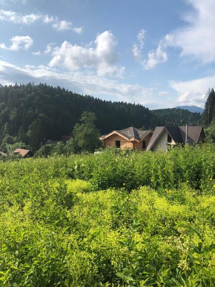 Teren Intravilan Predeal