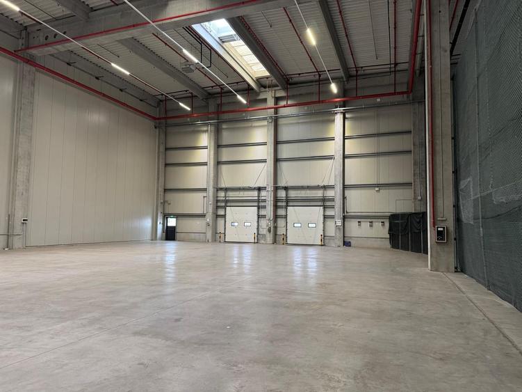 Hală suprafețe disponibile 1.000-40.000mp