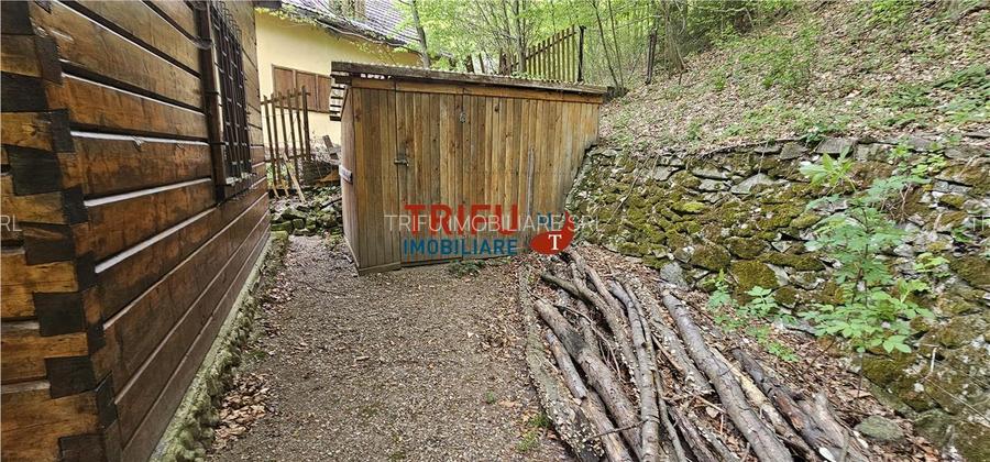 Casă de vacanță la pădure | Teren 891 mp | Valea Ighielului - 27