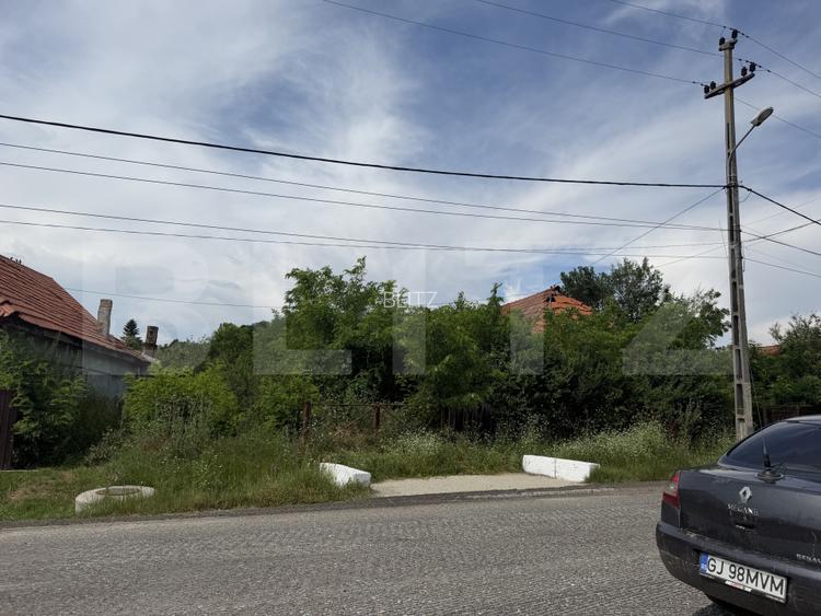 Teren 5000 mp , zona Dragoieni - 4