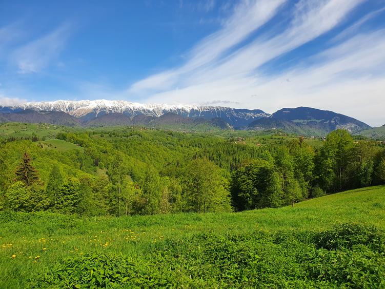 Teren Drumul Carului 3.8 ha