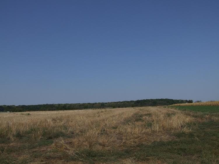 Clinceni-Ordoreanu-padure loturi  733mp