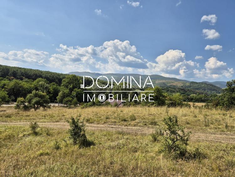 Vânzare teren 13.000 mp - Runcu-Suseni - oportunitate turistică - 9