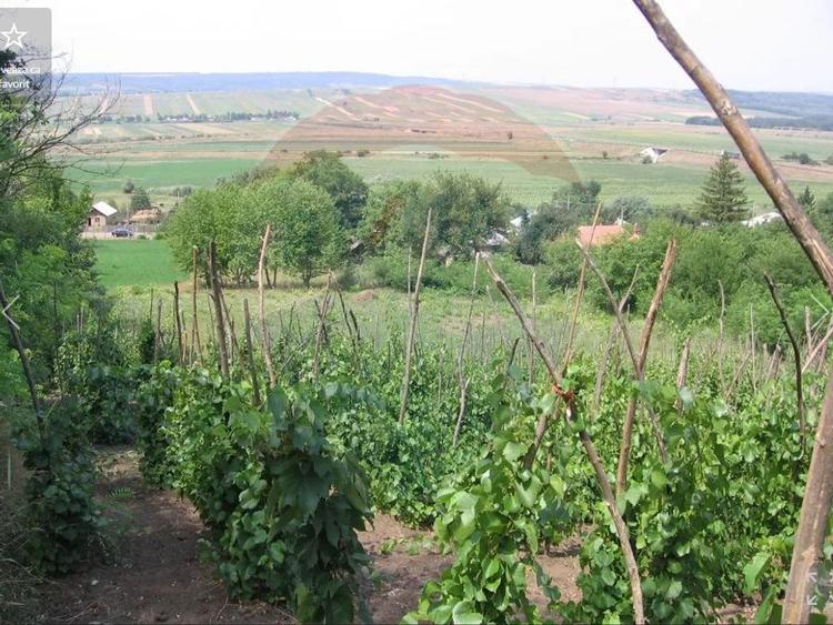 Teren 6,890mp Crasna / Strada Crasna