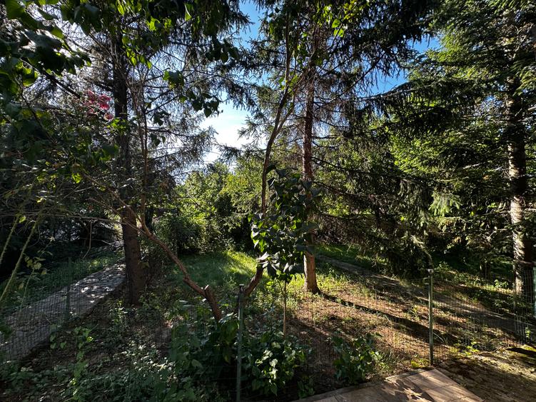 Vila individuală Voluntari cu teren 850 mp