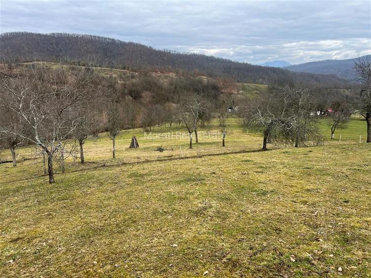 Teren intravilan si extravilan Luncoiu de Jos - 12