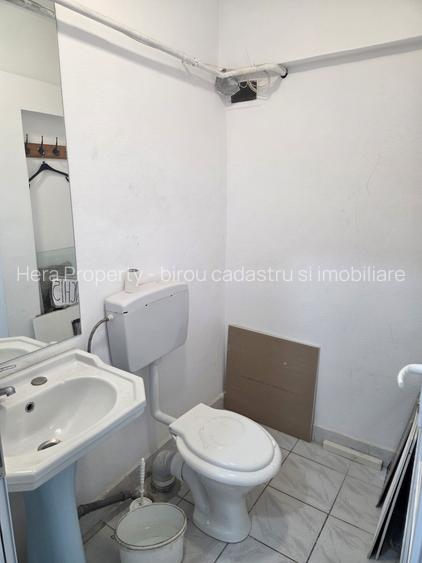 SPAȚIU COMERCIAL DE ÎNCHIRIAT LA MAȘNIȚĂ - 15