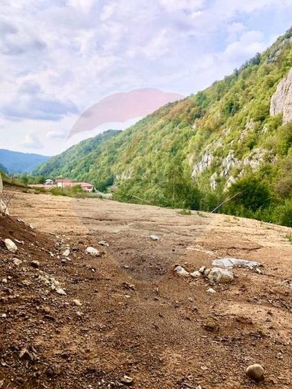 Teren intravilan 1,127mp Remeti / Strada Principala