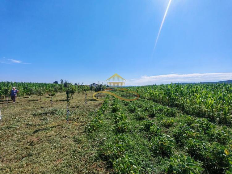 Casă de vânzare în Traian– 10 minute de BACAU