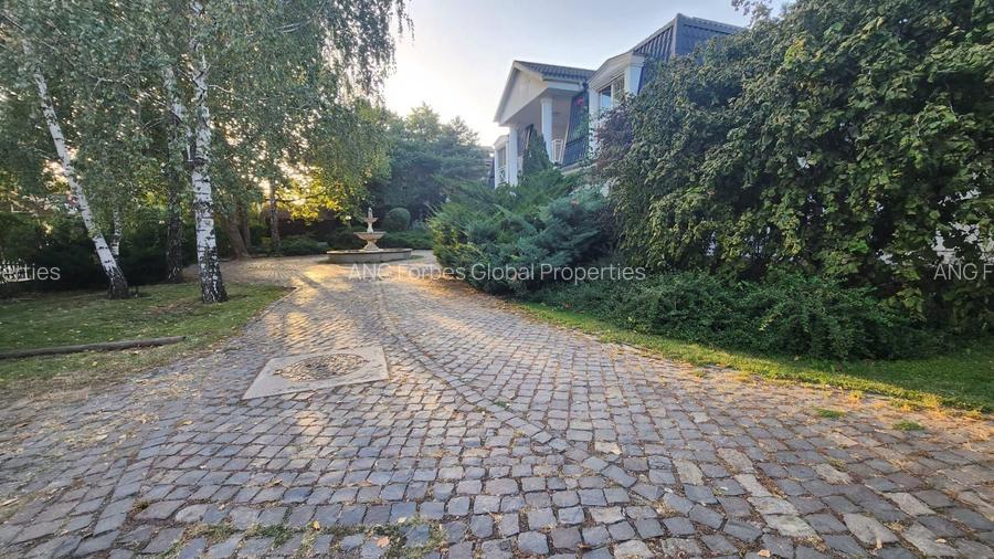 Vila individuala, teren 3000 mp, Iancu Nicolae - 31