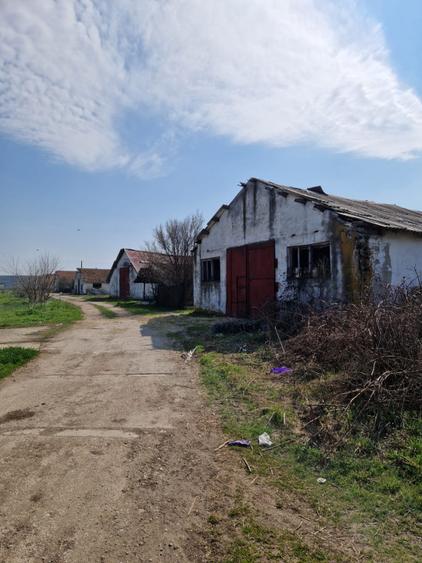 Fermă de vânzare 8 ha – Balș, județul Olt