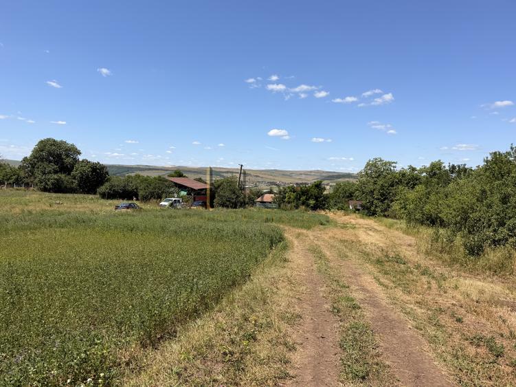 Teren 2.900 mp - 900 mp intravilan Jucu de Sus Panoramă Investiție