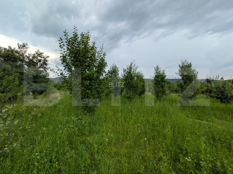 Teren intravilan, 4500 mp, zona Voinesti - 7