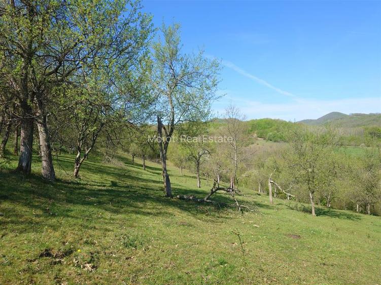 Teren intravilan si extravilan Luncoiu de Jos - 10