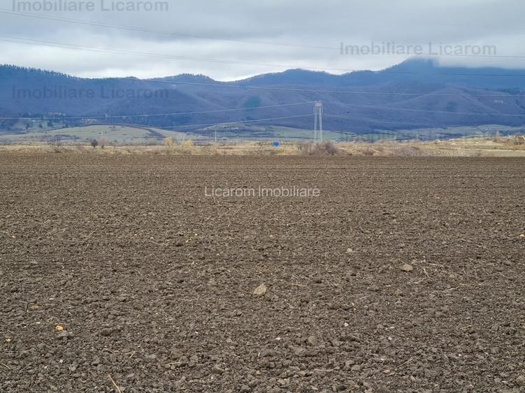 Teren extravilan 2,9 HA,intre Cristian si Vulcan - 2