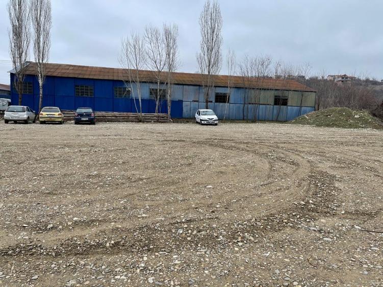 Vand teren cu hale 8.000 mp Sos. Bucium nr. 23