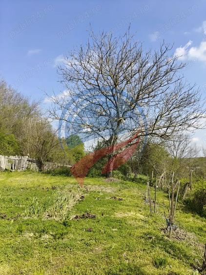 CASA LA 20 KM DE CRAIOVA CU 10000 MP. TEREN
