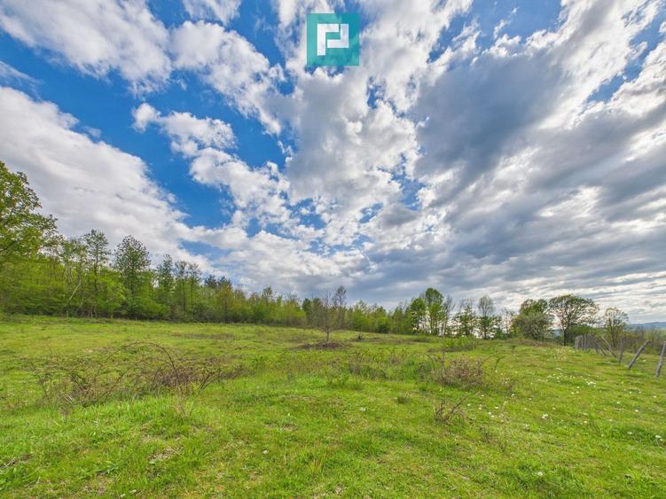 Casă cu teren de 17.681 mp, în loc. Hălmăgel, Arad