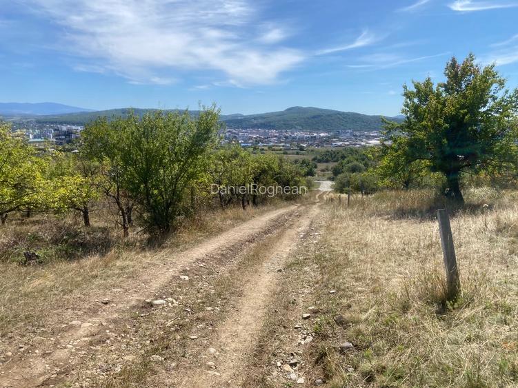 VANZARE TEREN Extravilan - 4