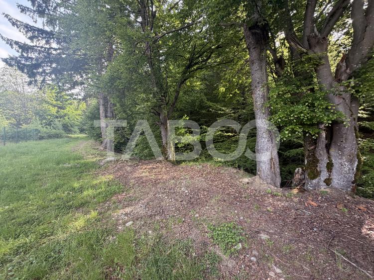 Teren intravilan 1000 mp front stradal 40 m langa Partia de Ski Dragus