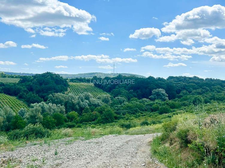 Teren intravilan 670 mp Vișan, Bârnova Iași - Rate la proprietar, 4 km sos Bucium - 8
