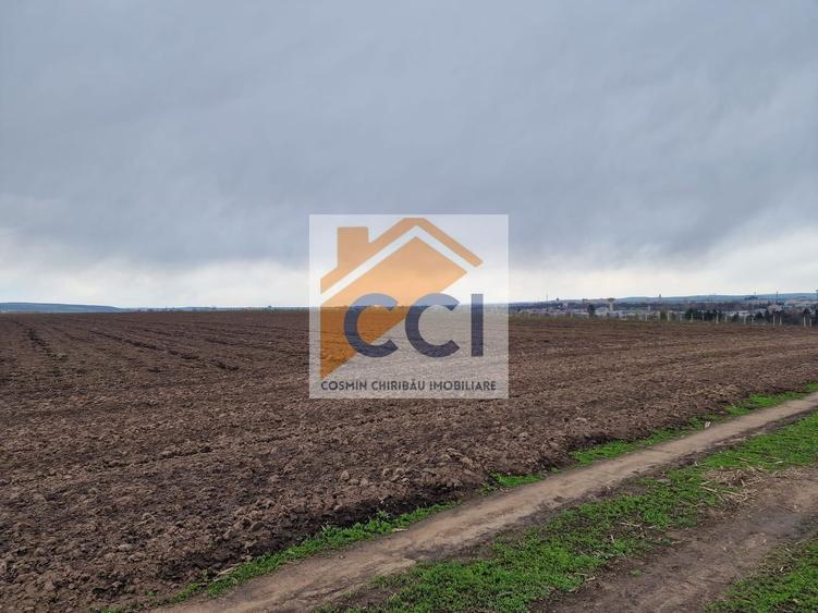 Teren 10,000mp Bacau / Strada Alexandru Safran