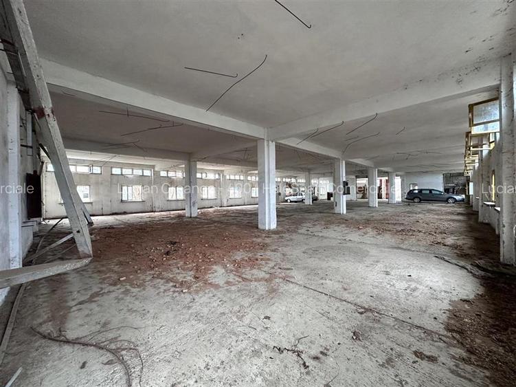 Hala, spatiu comercial, vad, de la 423mp la 1744mp, Vama Albita - 29