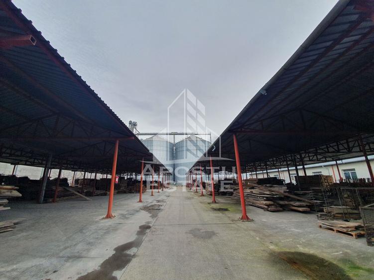 SPATIU INDUSTRIAL cu 3 hale si depozite acoperite