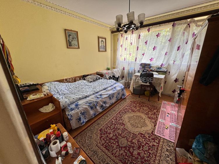 Drumul Taberei Favorit - 3