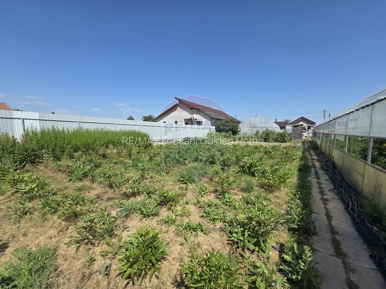 Proprietate 2.229 mp cu Dotări pentru Afacere Florală - 13