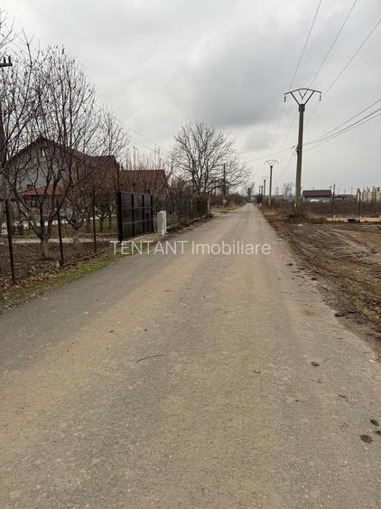 Vanzare Teren construibil 800mp 1 Decembrie Ilfov - 5