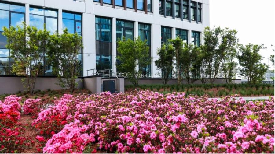 Business Garden Bucharest cladirea B, Grozavesti, 292 - 1448 mp  0% comision! - 15