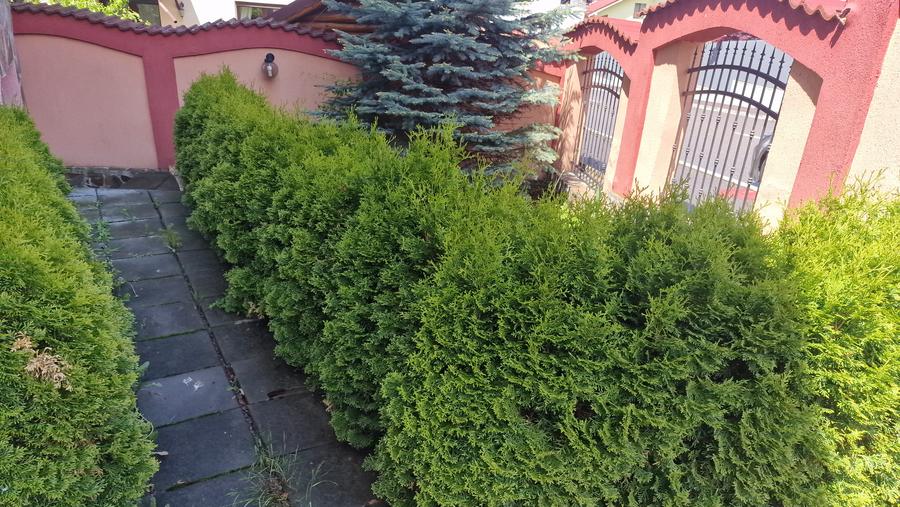 Vilă Bunloc