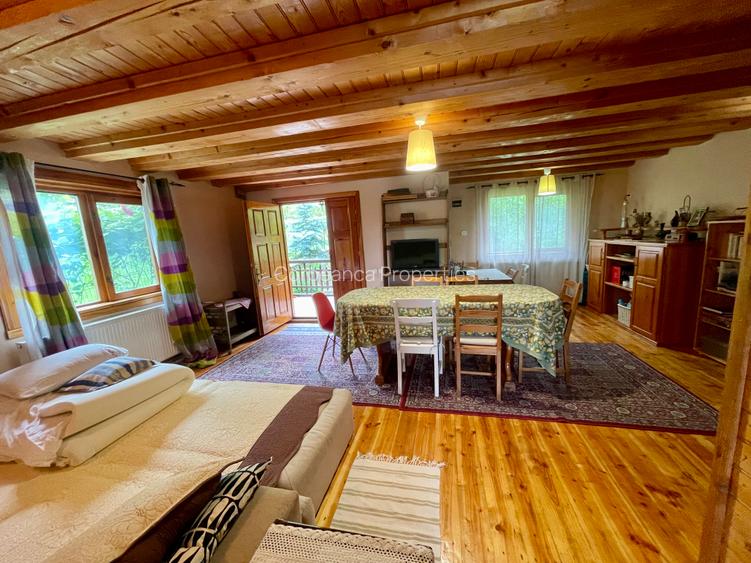 Inchiriem cabana in Calimanesti (Seaca), cu ponton la Olt, gradina - 7