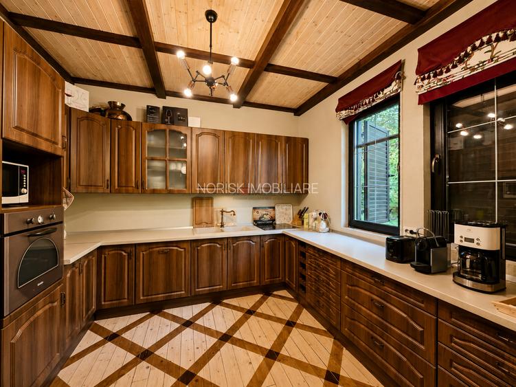 Mountain Chalet | Private Resort | Investment - Nistoresti - 7