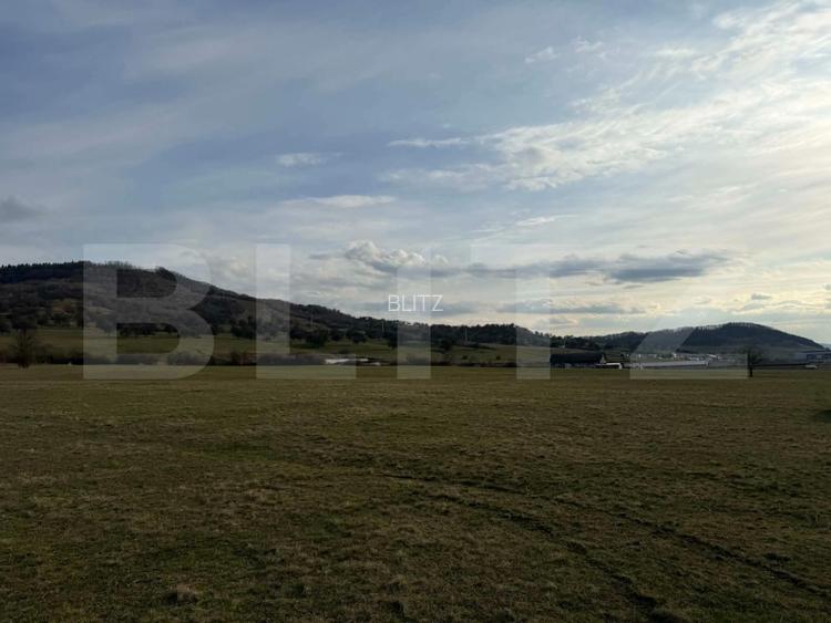 Teren Extravilan | 10 ari | Zona Aerodromului langa partie - 2