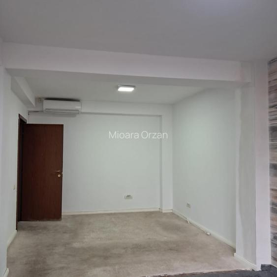Piata Muncii –Calea Calarasilor,vila 12 camere, suprafata 370mp,curte 150mp - 9