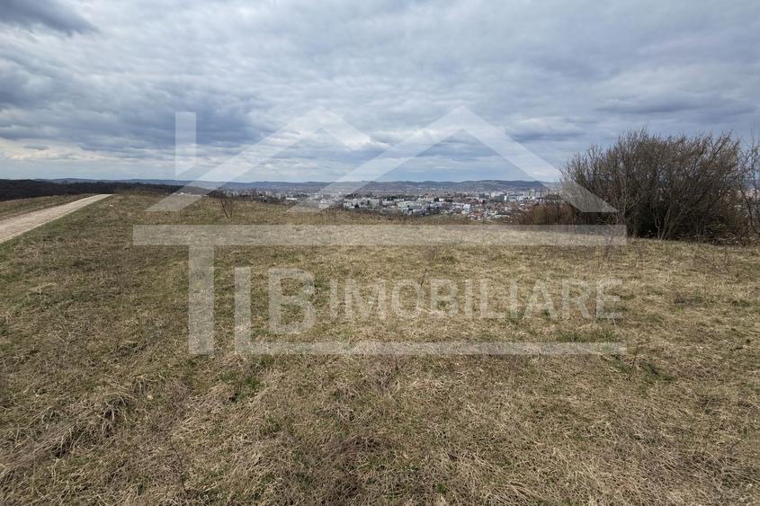 Teren, 1.000 mp, intravilan, Zona Viile 1 Mai