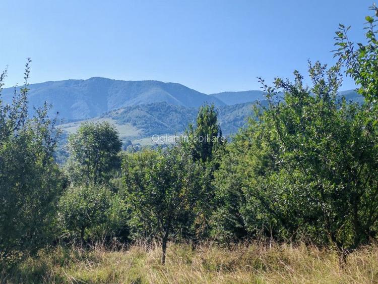 Terenul pe care se clădește visul tău – Tocile, Sibiu - 5