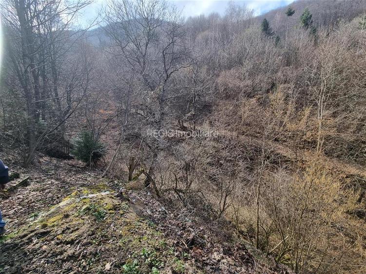 Teren arabil intravilan , priveliste mirifica , zona Schei - 11