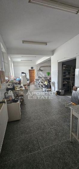 Casa vanzare I pozitie centrala I zona Cetatii I Timisoara