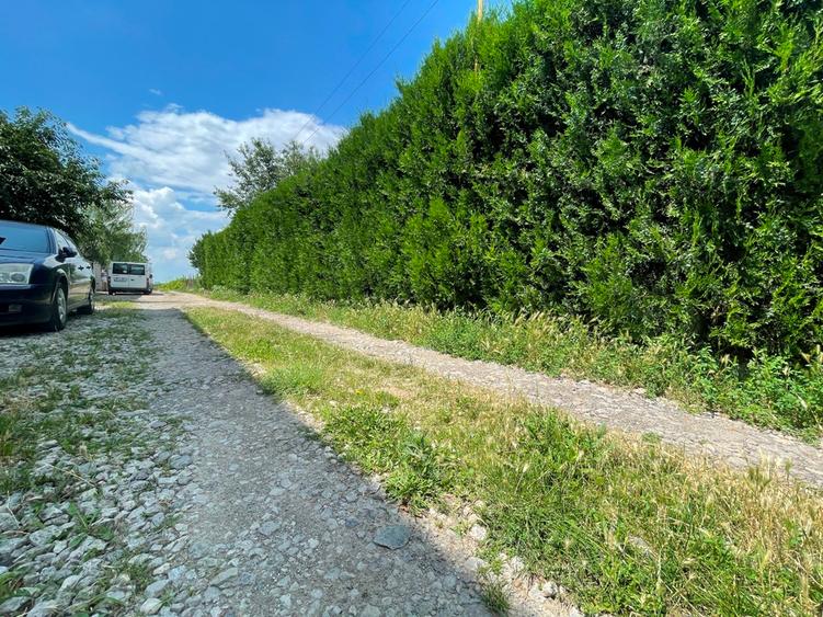 Lot de teren ideal pentru casa in Arcasilor cu toate utilitatile la limita