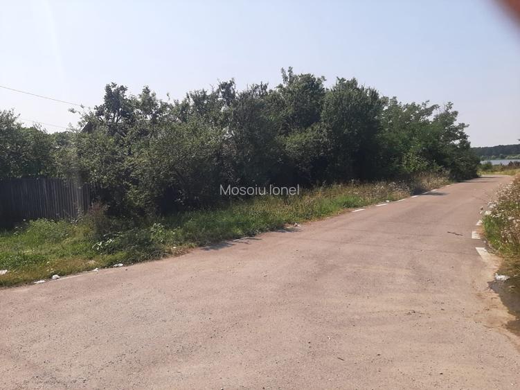 PROPRIETAR Teren stradal ILFOVENI - 10