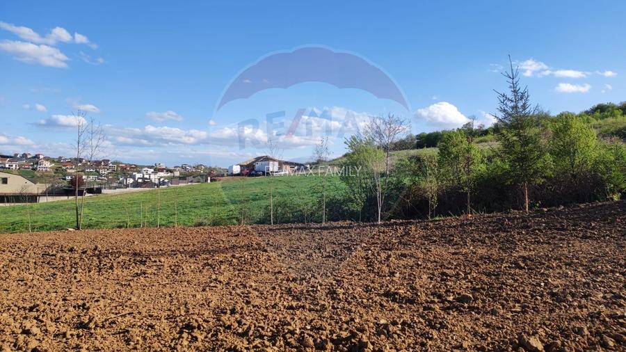 Vânzare teren intravilan 1,200mp Oradea, zona Doja - Hanul Pescarilor - 17