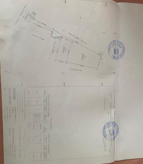 TEREN 1082MP MAMAIA NORD 40ML DESCHIDERE OPORTUNITATE DE INVESTIȚIE