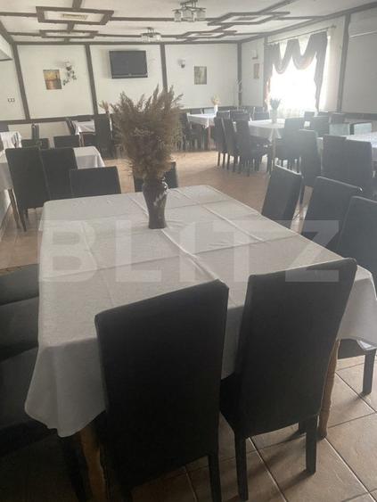 Pensiune + Restaurant + afacere la cheie Broșteni, SV