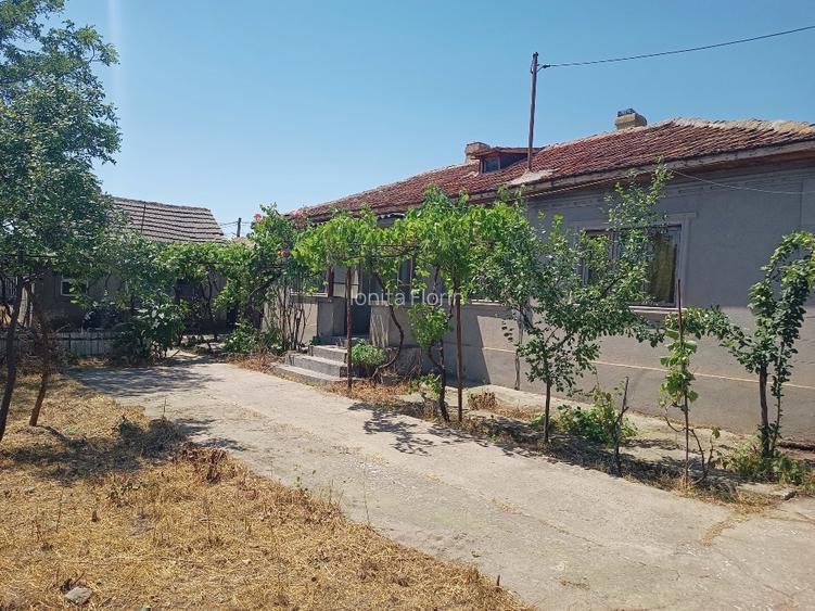: Casă locuibilă + Teren generos 3.550 mp, intravilan – Comuna Baia, jud. Tulcea - 4