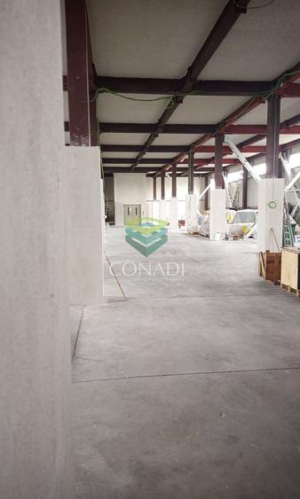 Hala Otopeni zona pasaj DNCB  Lukoil BMW