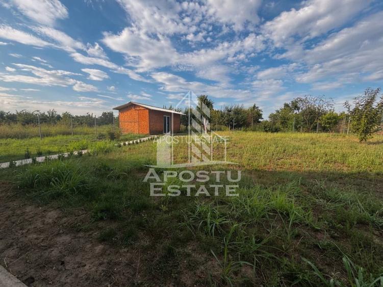 Casa individuala cu 5 camere spre vanzare, Padureni, Jud Timis - 8