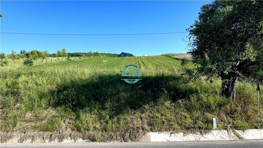 Vand teren intravilan in Sanisor cu suprafata de 4946 mp
